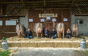 A88 KLINgen Zaster ZIMPER  CH 120.0932.5151.5 Klin-Merz Paul hsu AR8I1885